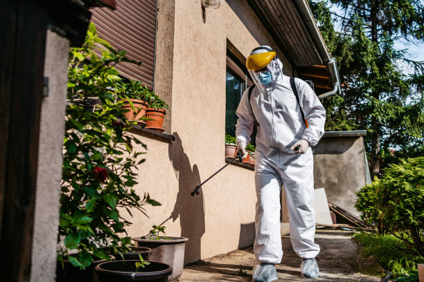 Best Flea Control Services  in Keewatin, MN