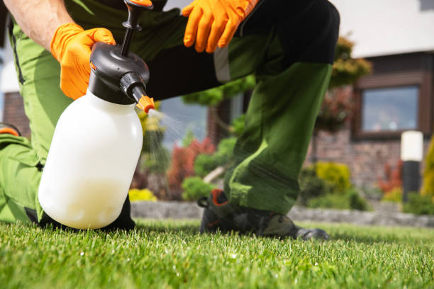Best Exterminator Services  in Keewatin, MN