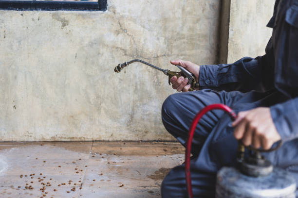 Best Residential Pest Control  in Keewatin, MN